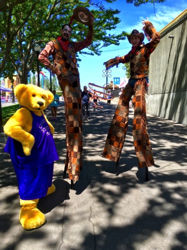 California Fair Cowboys